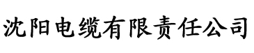 召唤魅族在线观看动漫电缆厂logo